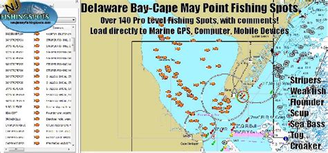 fishing report for delaware bay|delaware bay fishing hot spots.